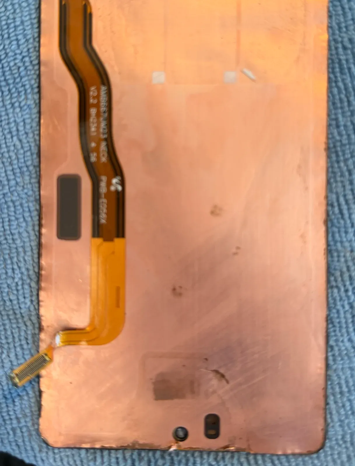 Removed phone display assembly; crop excludes machine-readable component labels